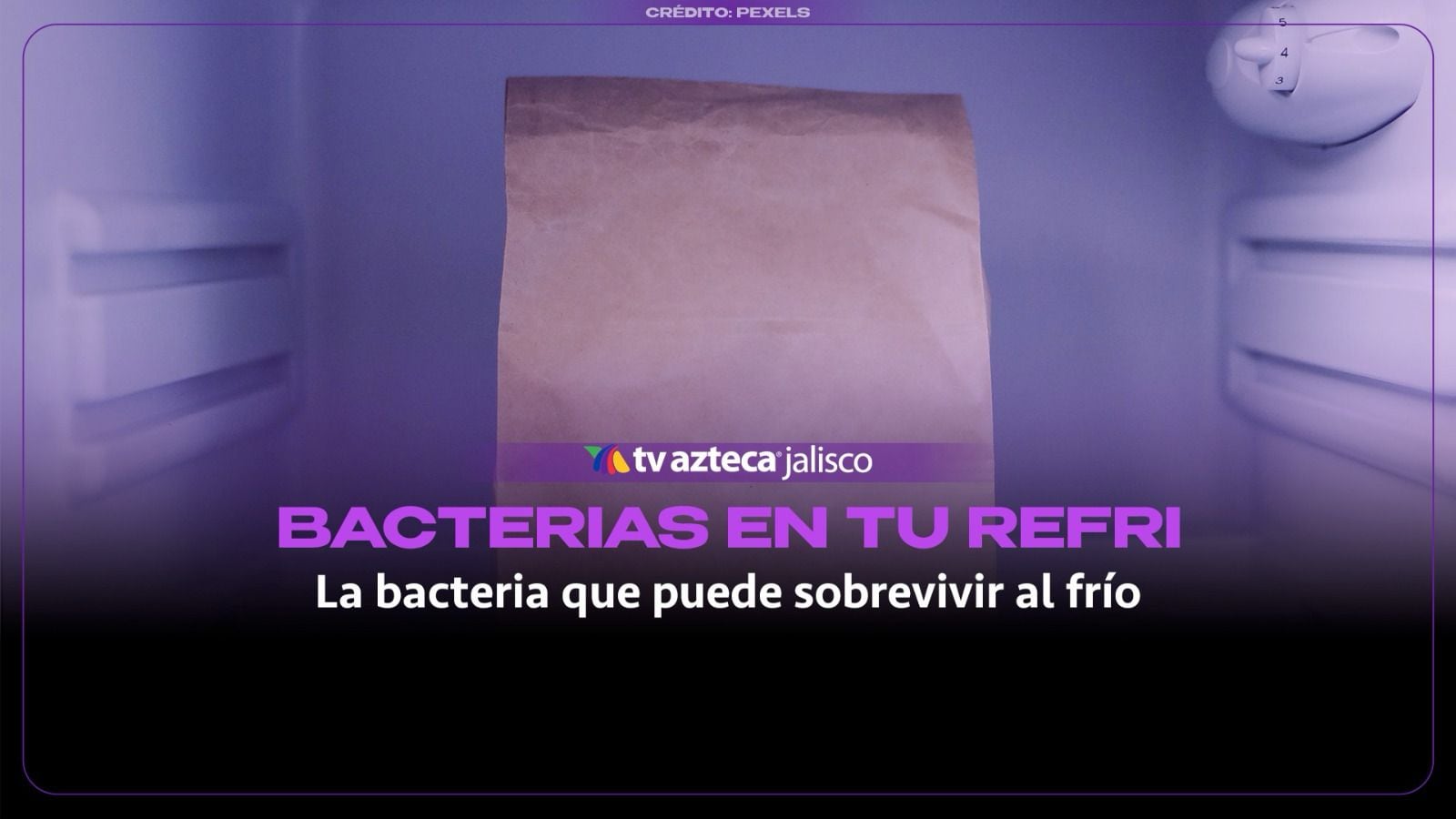 ¡Aguas con lo que guardas! Esta peligrosa bacteria puede sobrevivir en tu refrigerador