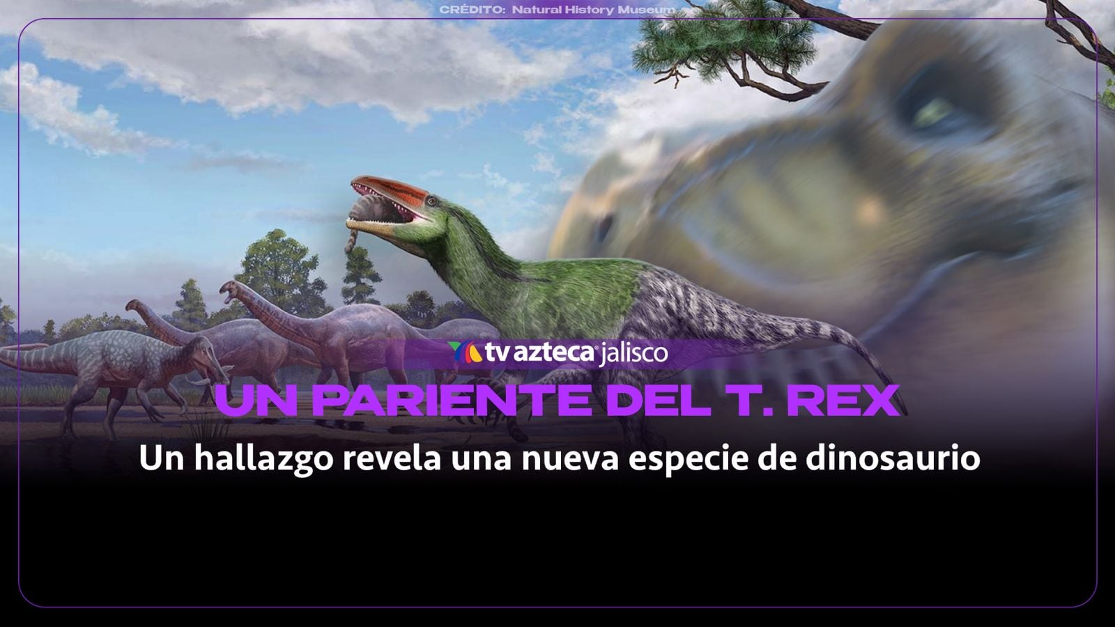 ¡Más peligroso que el T-Rex! Hallan feroz depredador de 120 millones de años que yacía en un cajón