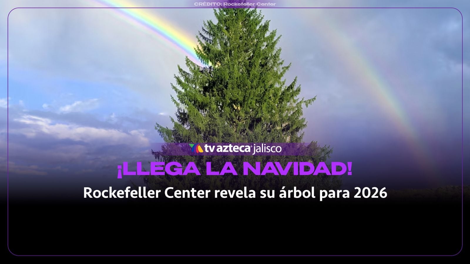 ¡Comienza la cuenta regresiva! Así será el gigantesco árbol de Navidad de Nueva York en 2026
