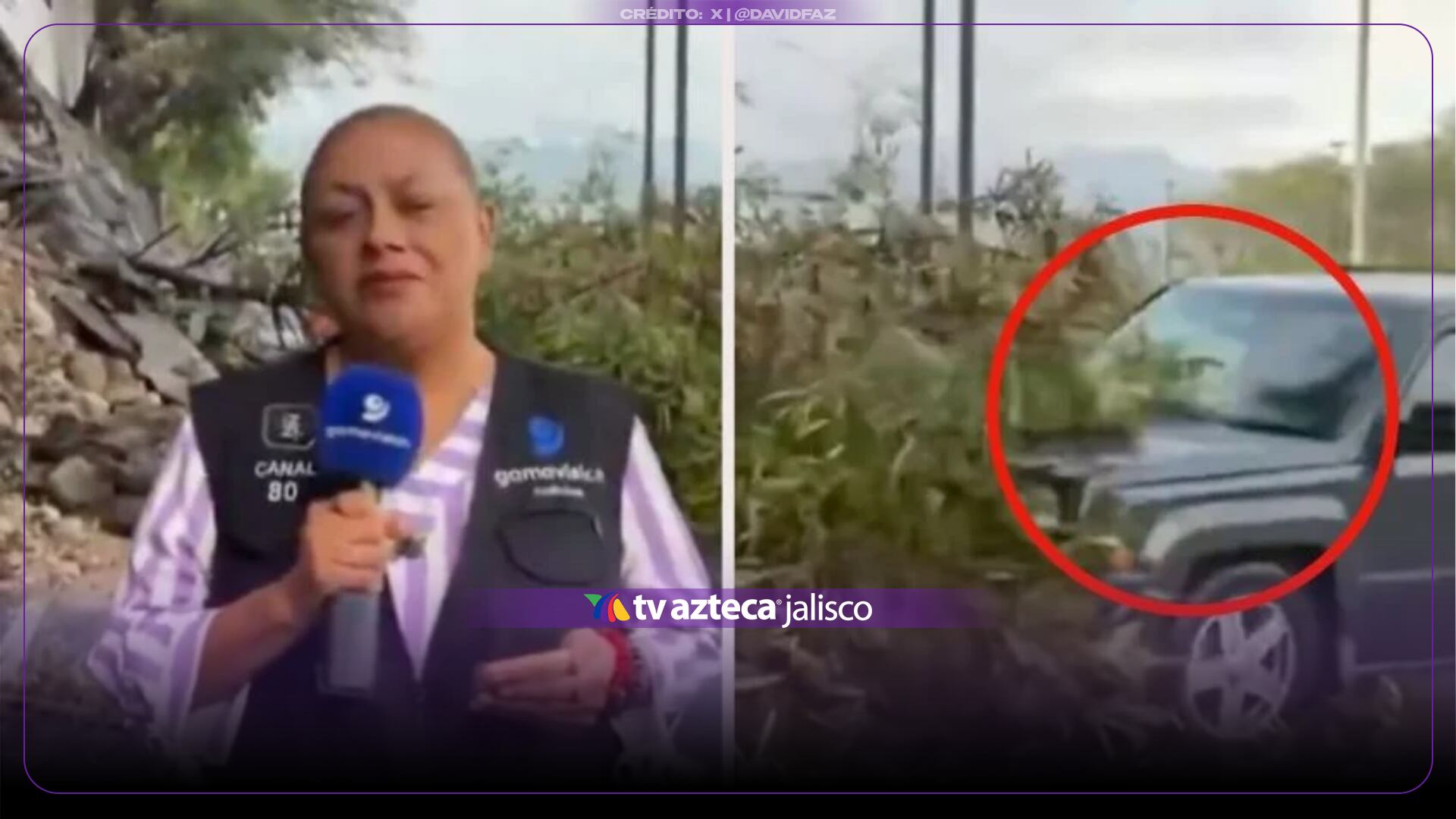 Reportera Alma de la Rosa Flores reaparece tras accidente durante transmisión EN VIVO
