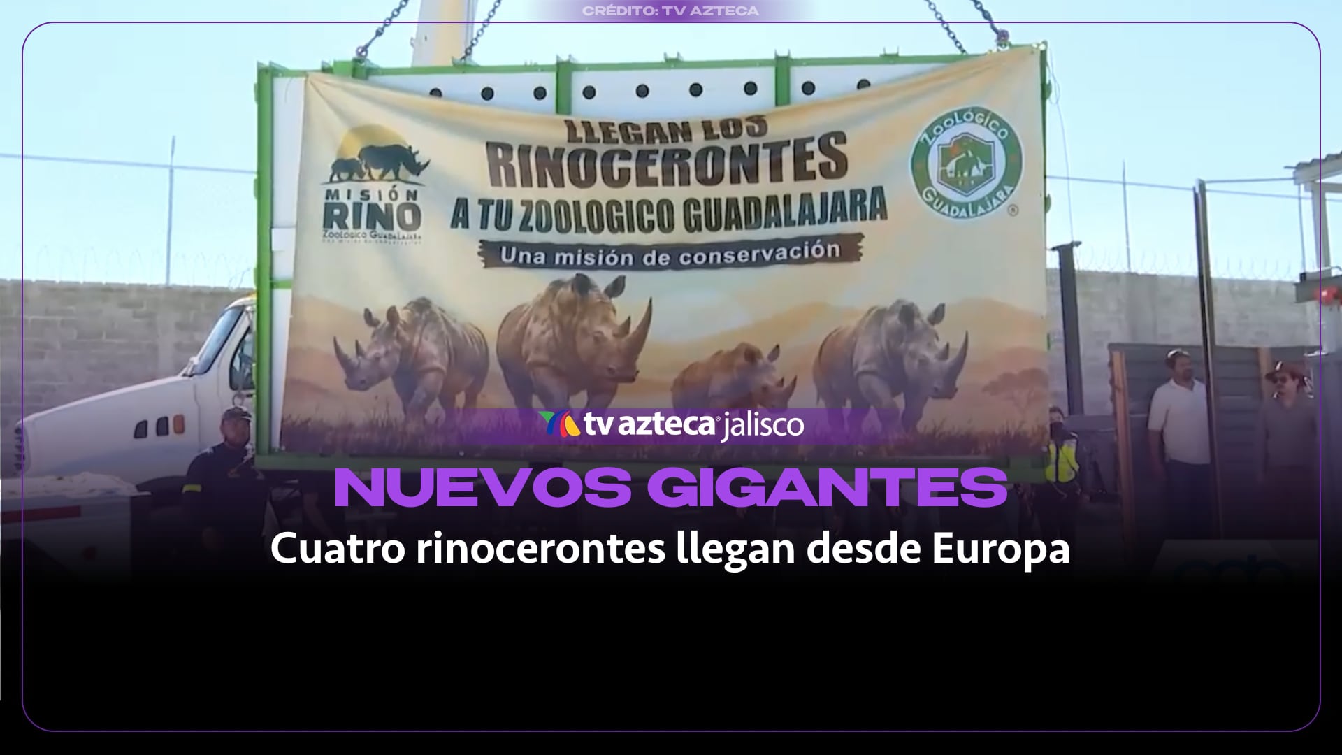 Llegan cuatro rinocerontes blancos a Guadalajara para un programa de conservación y reproducción