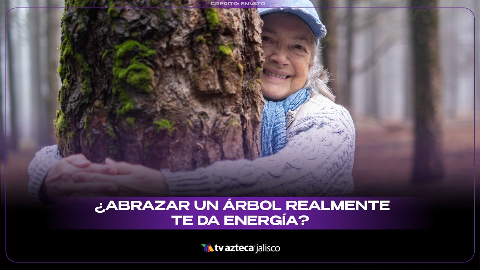  ¿Abrazar un árbol te da energía? La verdad detrás de esta creencia