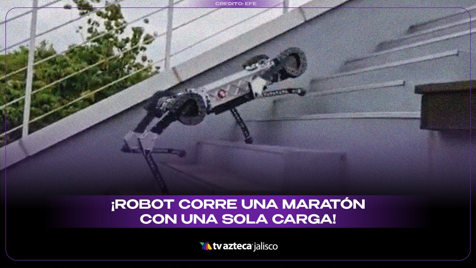 VIDEO | Robot de cuatro patas sorprende al completar una maratón con una sola carga de batería