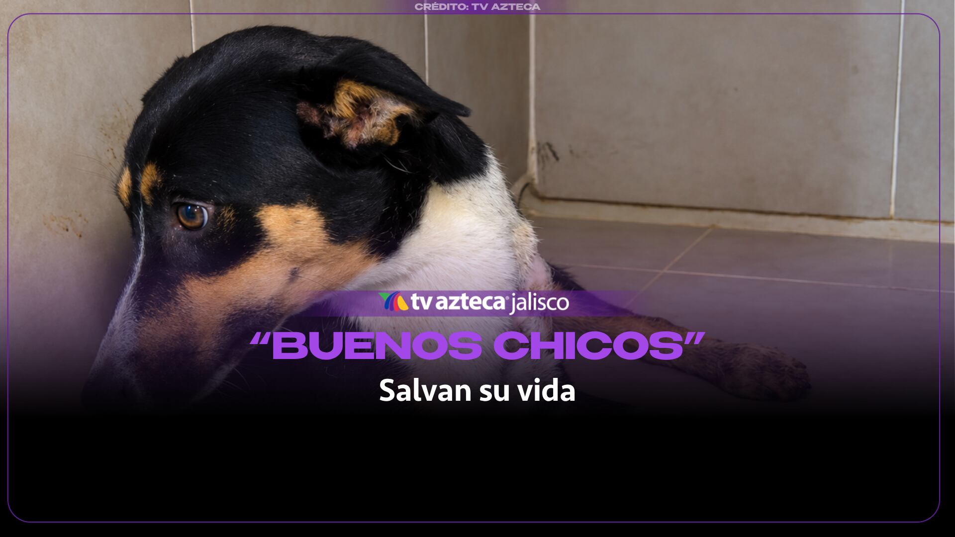 Sobreviviente de m4ltrat0 en Santa Cruz inicia su camino hacia una segunda oportunidad
