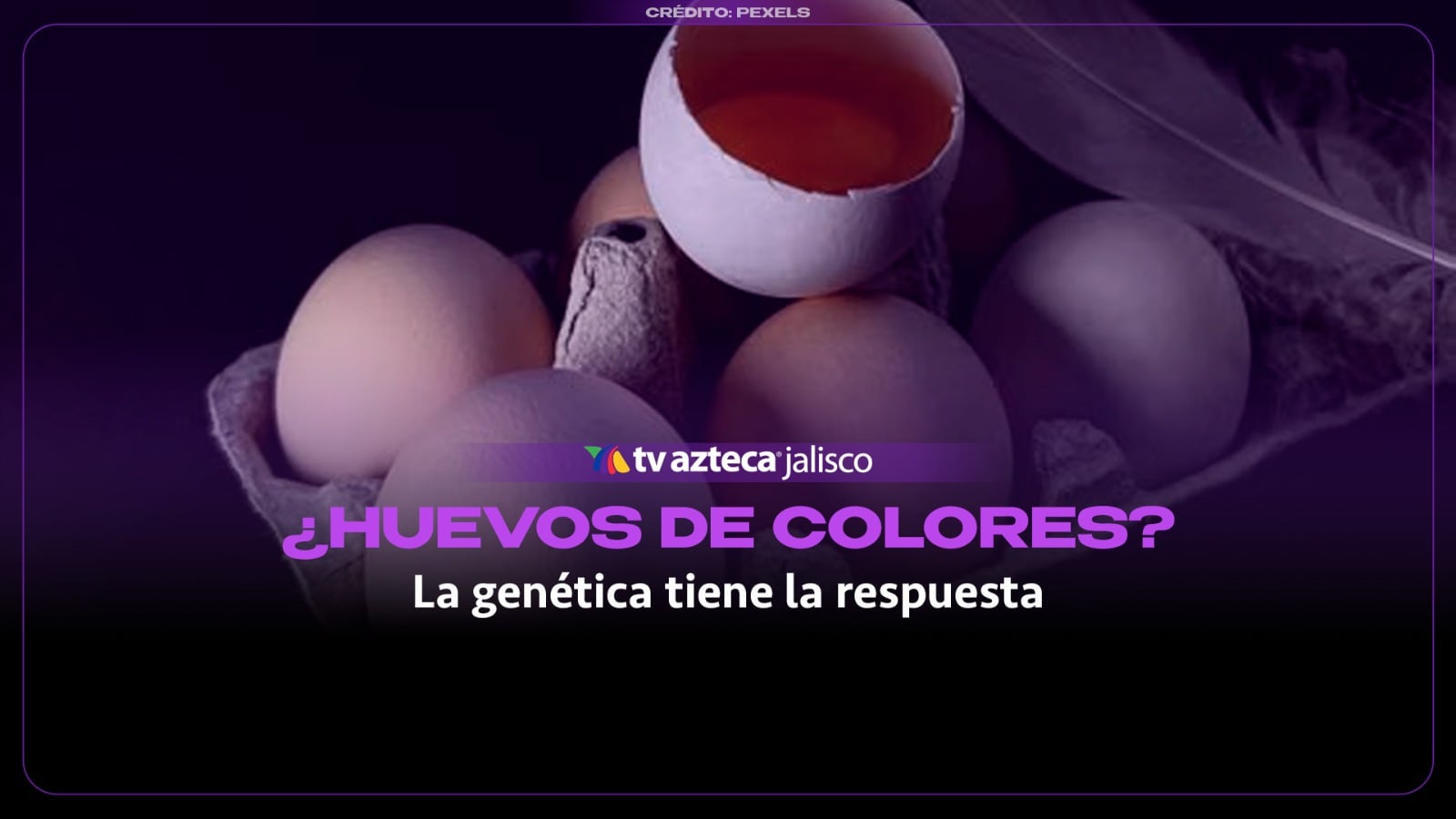 ¿Por qué algunas gallinas ponen huevos beige? Esta es la razón