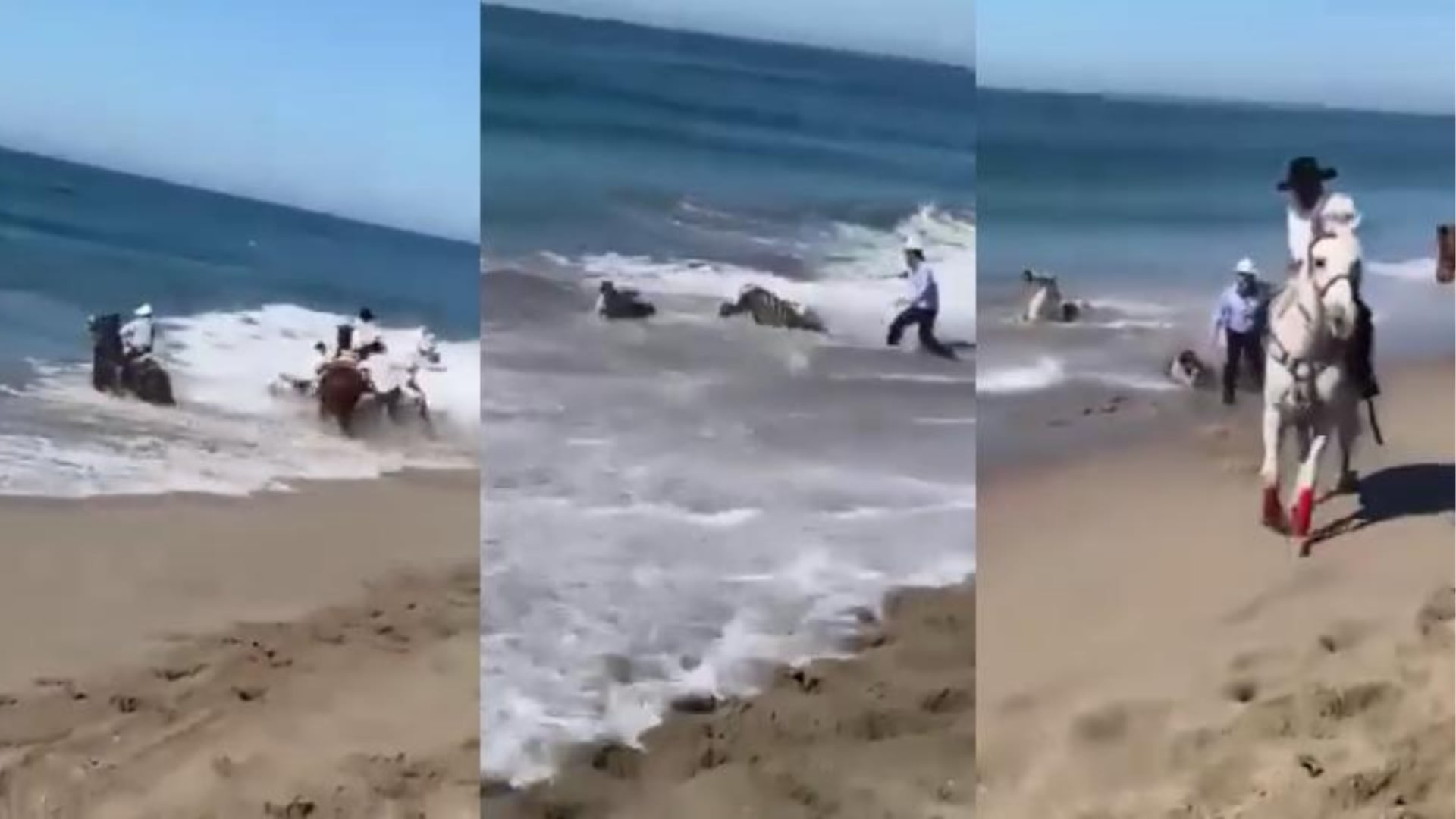 VIDEO | Fuerte oleaje pone en peligro a jinetes y caballos en playa de Puerto Vallarta