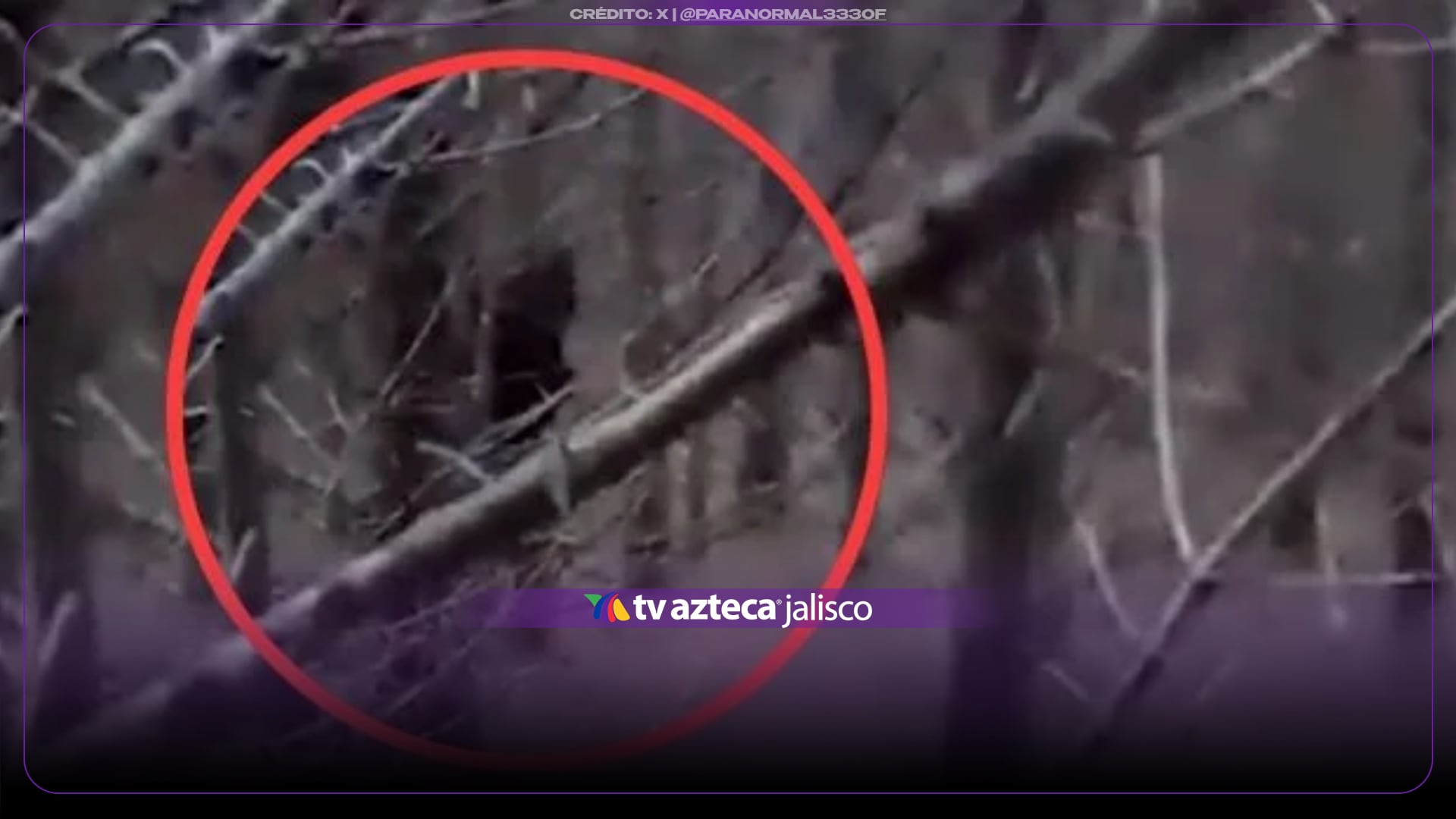 VIDEO | Hombre graba una extraña silueta en el bosque y sale CORRIENDO