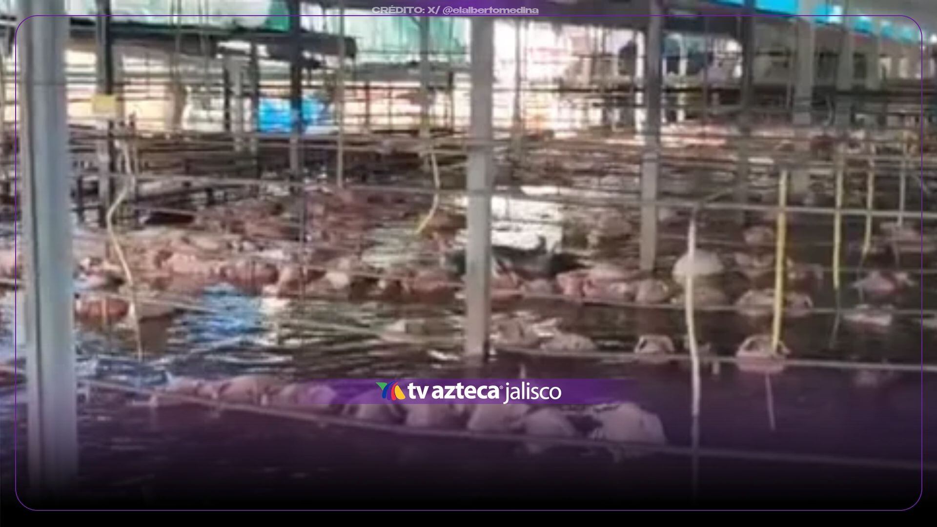 VIDEO:  ¡El agua no da tregua! Se inunda rastro tras fuertes lluvias en Sonora