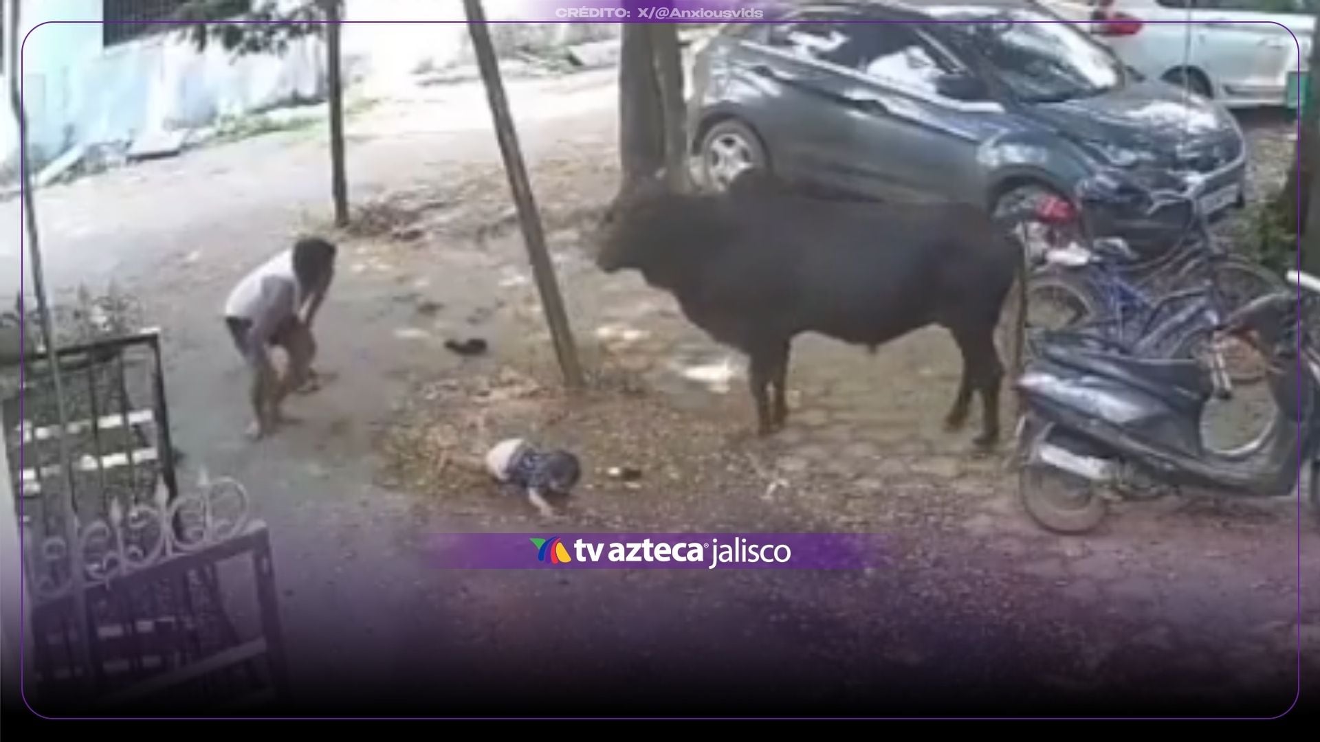 IMPACTANTE VIDEO: ¡Todo ocurrió en segundos! Toro embiste a padre que jugaba con su hijo
