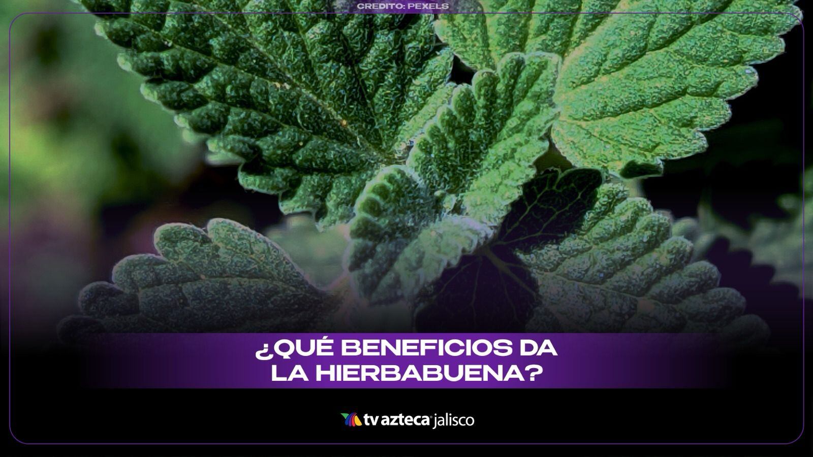 Beneficios de tomar té de hierbabuena 