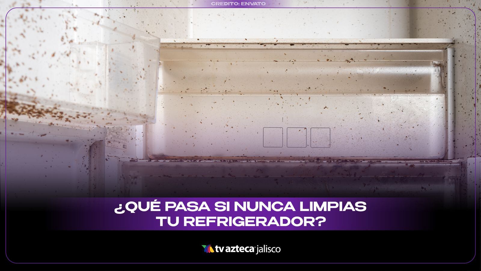 Esto le pasa a tu refrigerador si nunca lo limpias