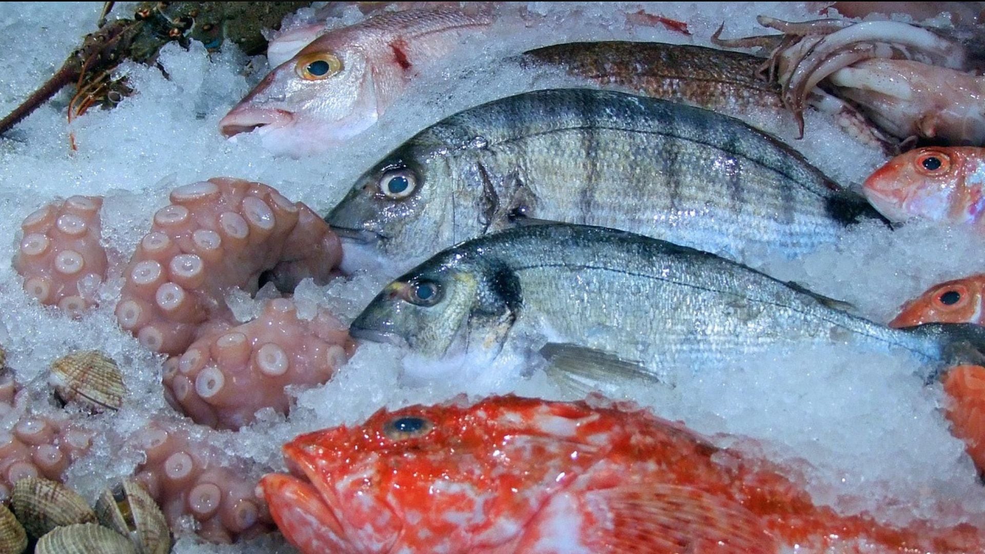 ¡Cuidado con los mariscos! Cómo identificar camarones y pescados de calidad en Jalisco