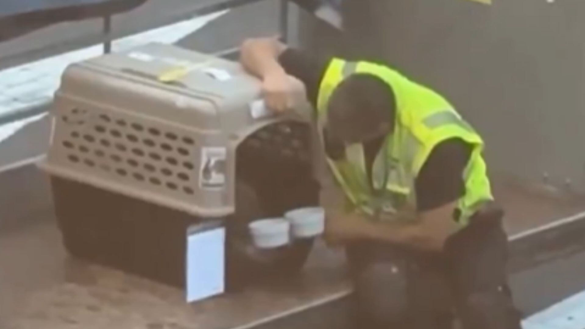 VIDEO: El tierno gesto de un trabajador de aeropuerto con un perrito que conmovió a las redes
