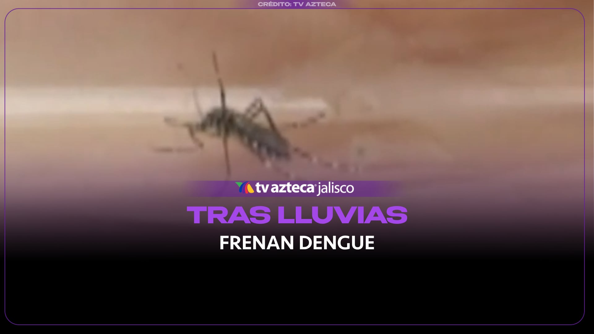 Jalisco frena el avance del dengue, pero refuerza la vigilancia en zonas costeras