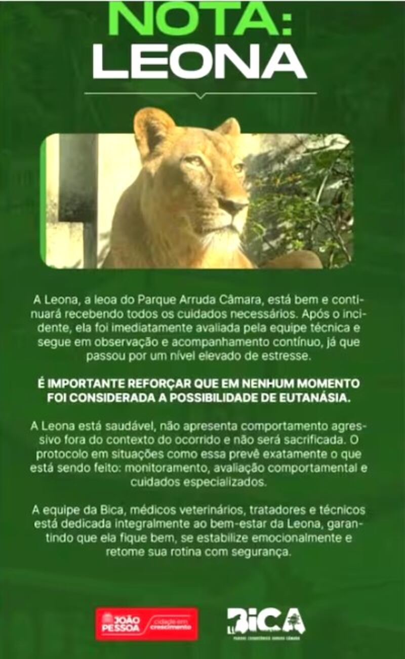 Brasil: Zoológico explica qué pasará con la leona que mató a un joven al interior de su jaula, ¿aplicarán eutanasia?