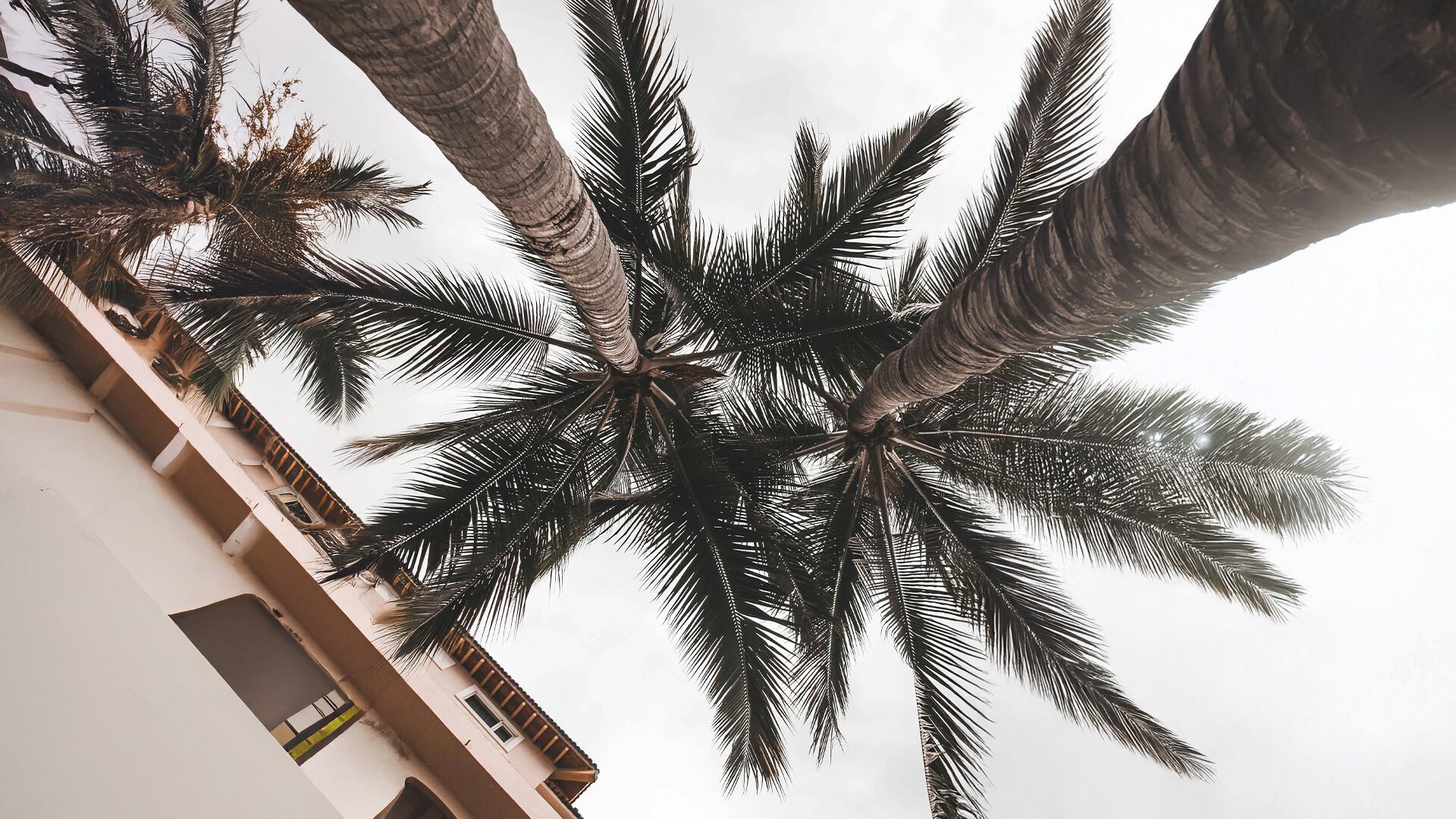 Clima Tormentas y calor se esperan hoy 31 de julio en Puerto Vallarta
