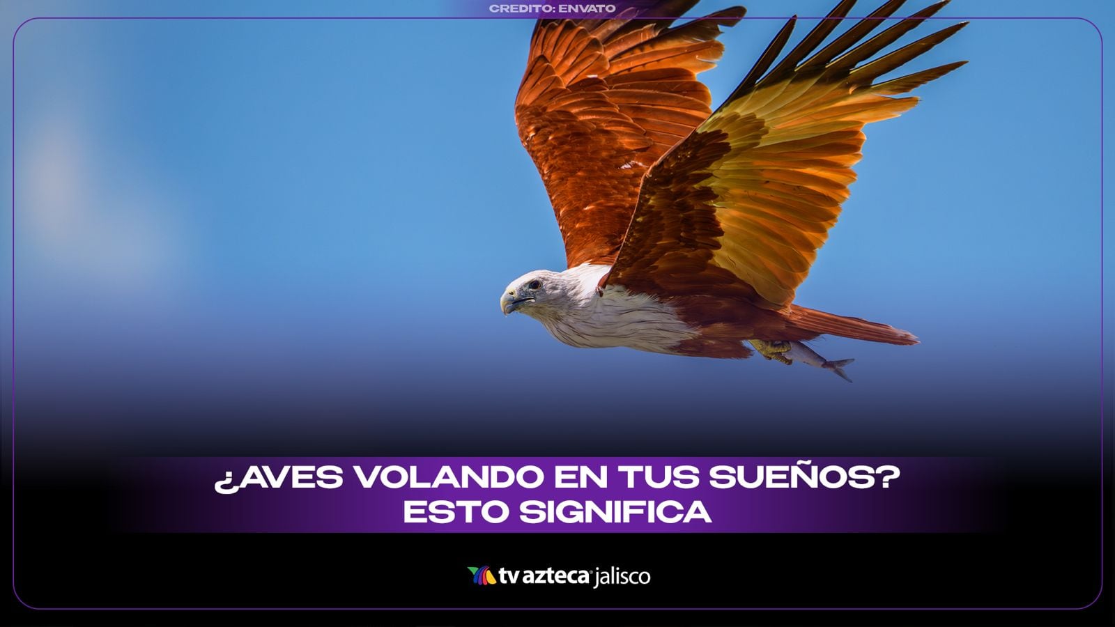 ¿Qué significa soñar con una parvada de aves sobre ti? El mensaje oculto tras este sueño