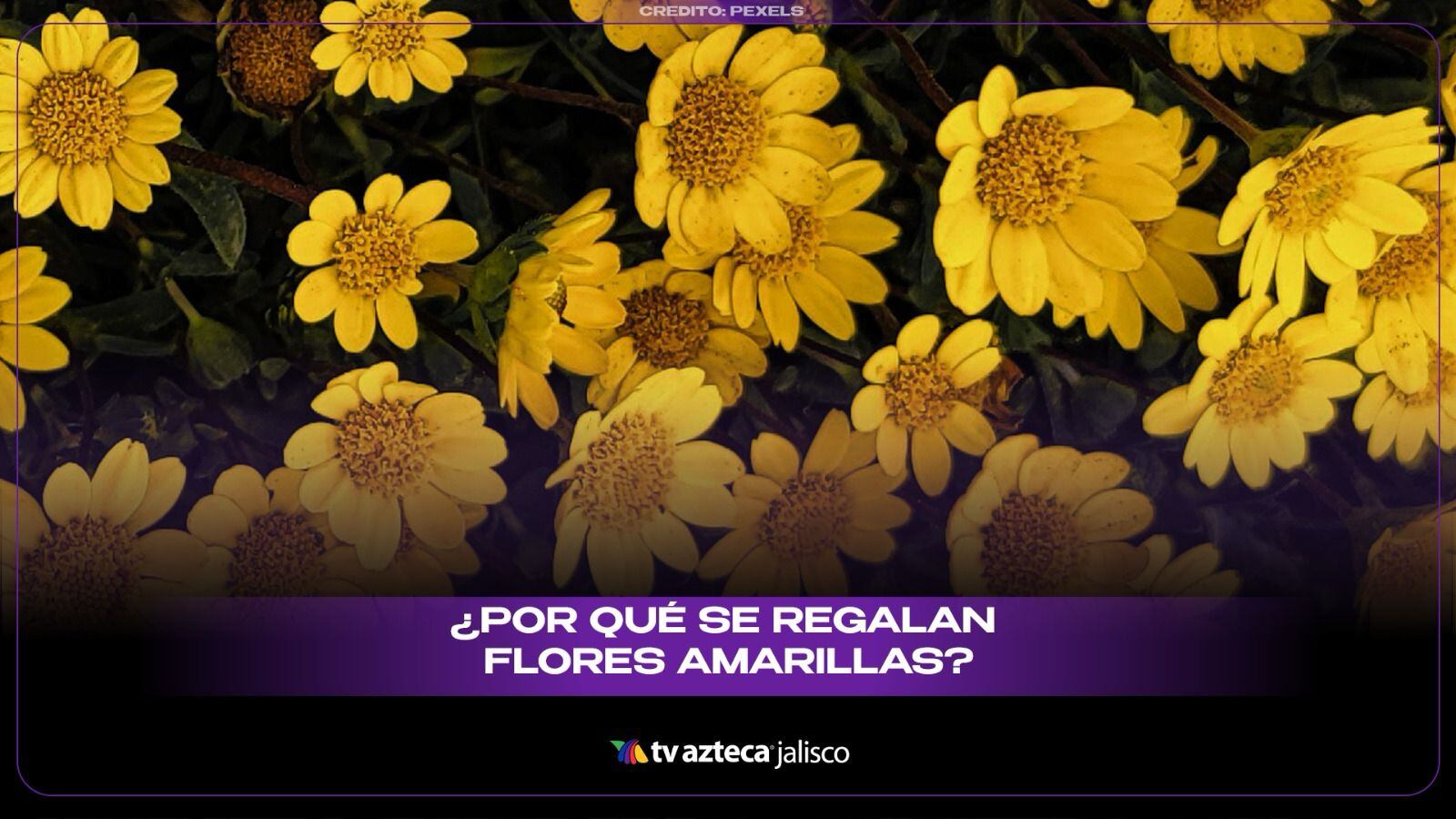 ¿Por qué se regalan flores amarillas el 21 de septiembre? Este es su significado