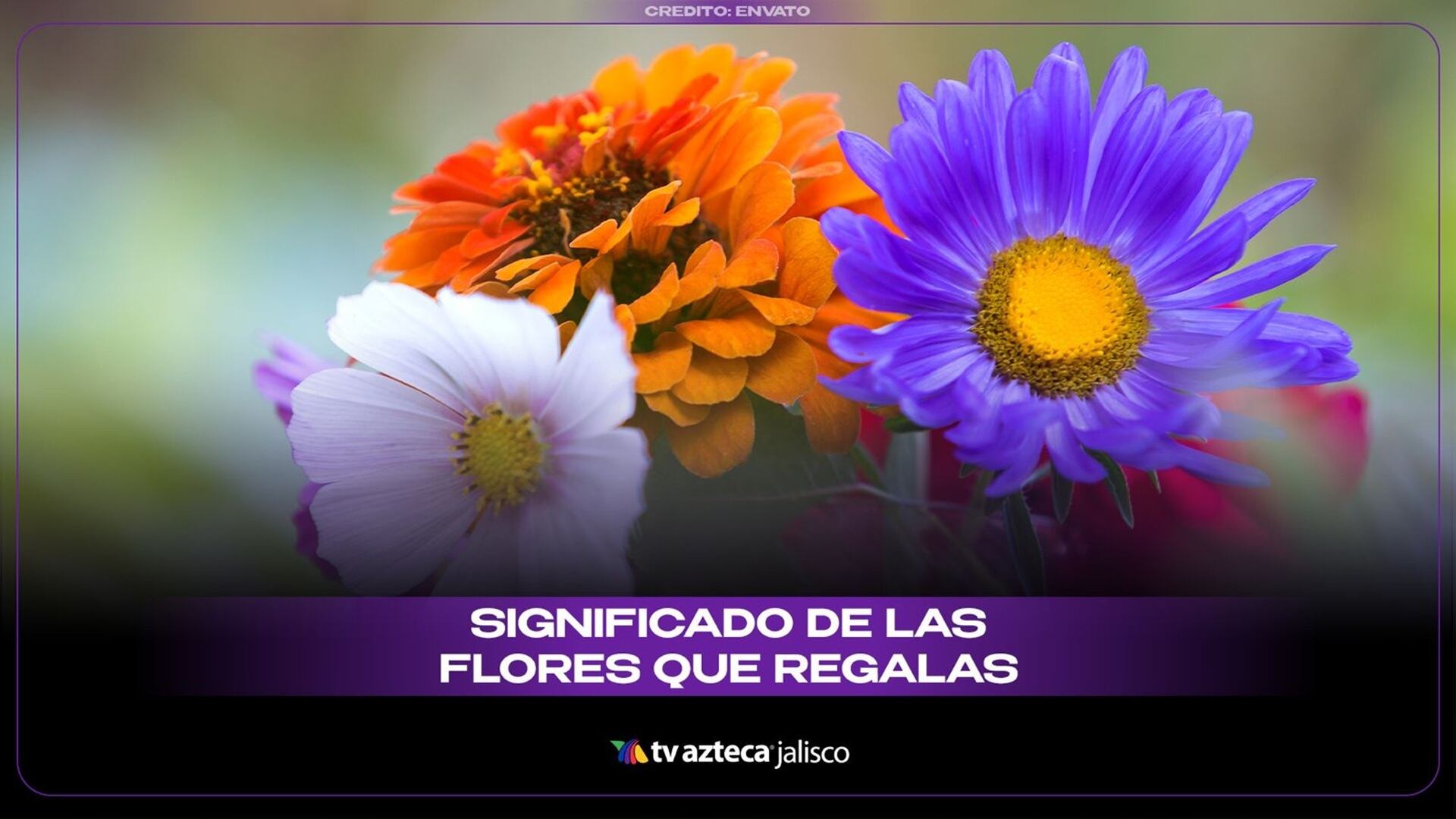 Significado de las flores que regalas.jpeg
