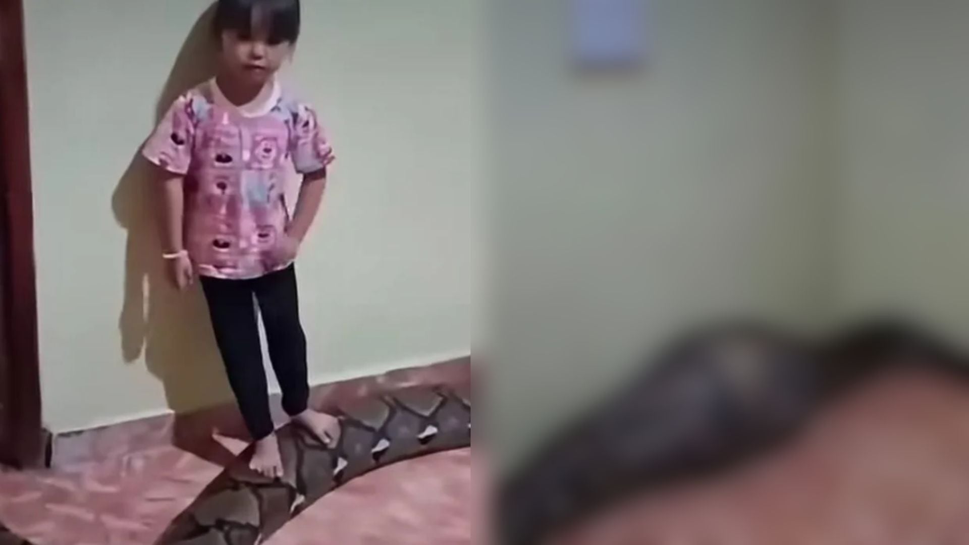 ¡Tragedia! Pitón gigante se TR4GA a una niña dentro de su propia casa