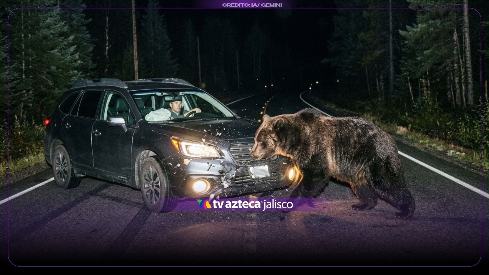 VIDEO: ¡Tremendo susto! Oso pardo se cruza y golpea un auto en plena carretera