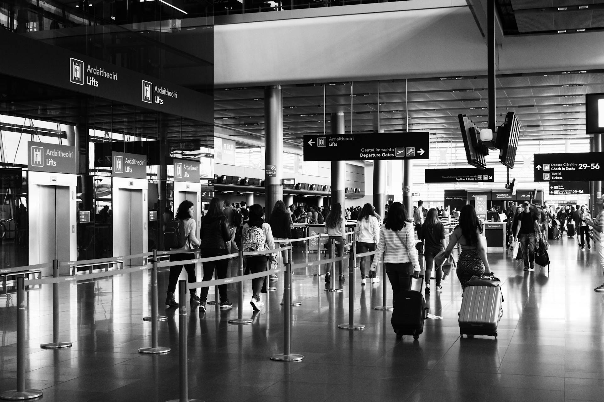 EN VIVO |¿Cuál es el estatus de vuelos en el Aeropuerto de Guadalajara hoy 17 de mayo de 2026?