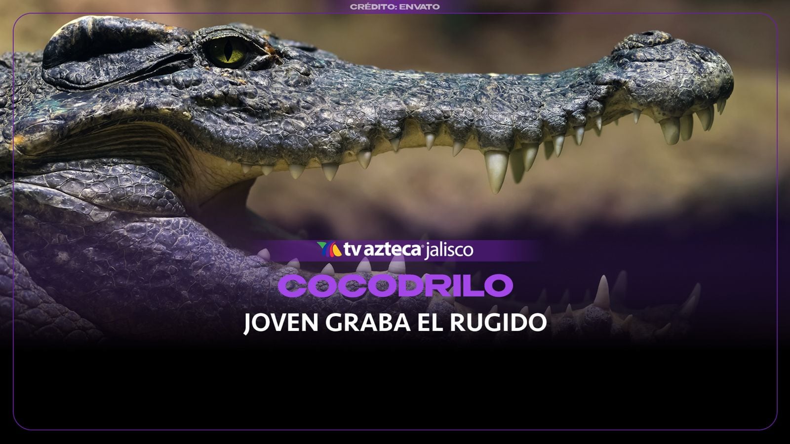 ¿Miedo? Joven graba el rugir de un cocodrilo
