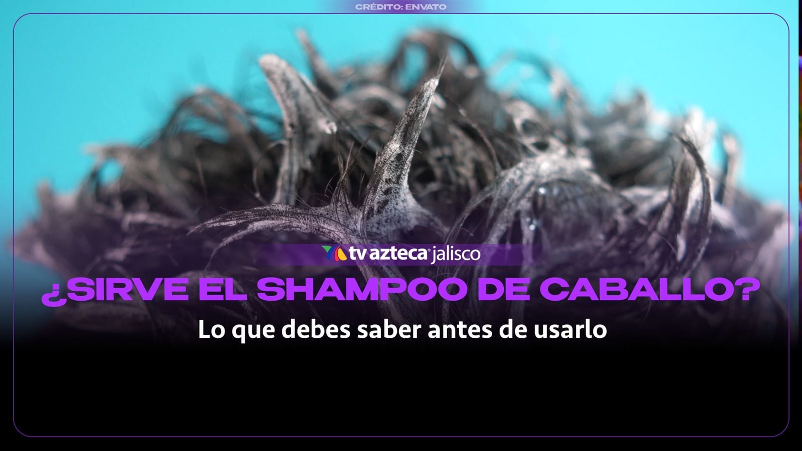 ¿Sirve el Shampoo de caballo?