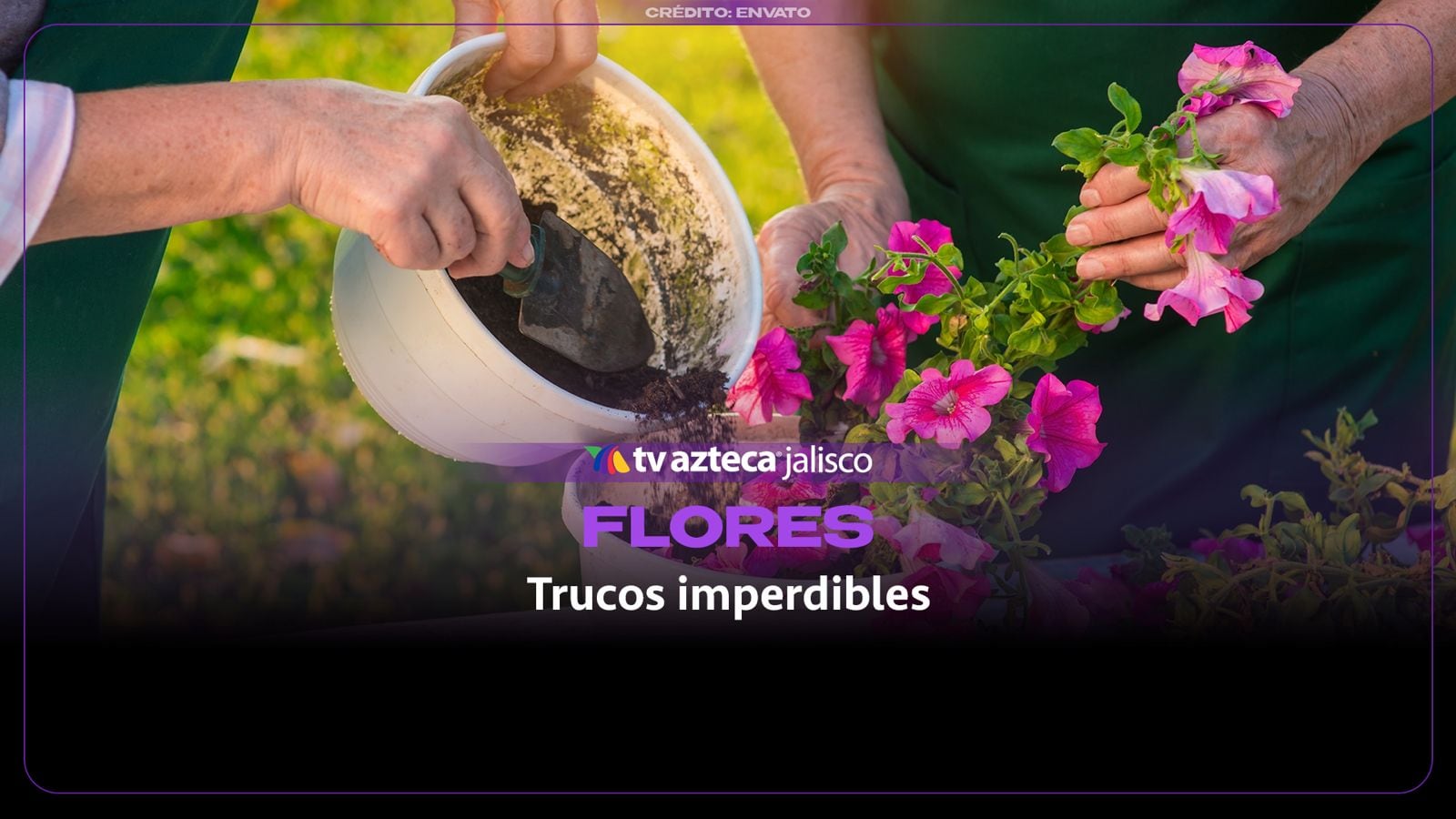 ¿Tienes café en casa? El ingrediente que puedes aprovechar para cuidar tus plantas