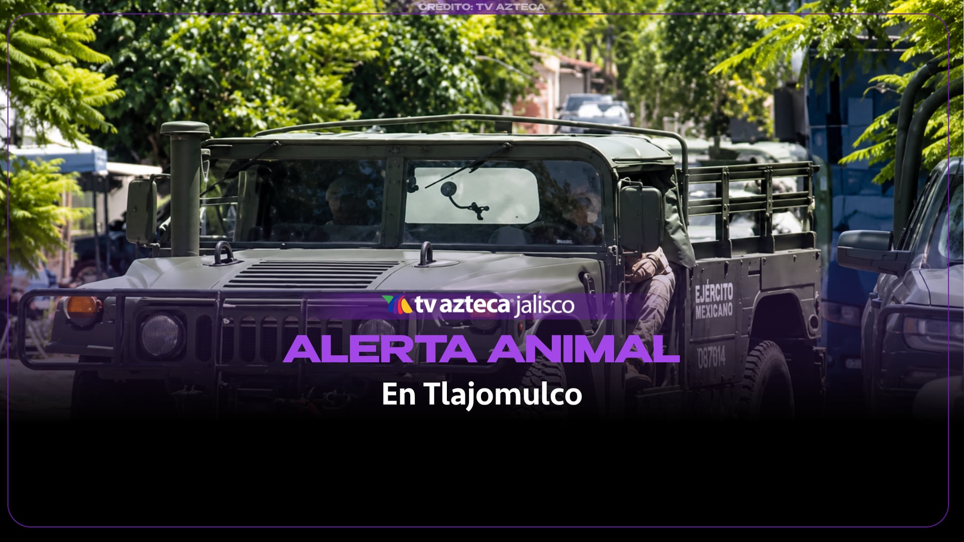 Crueldad en Tlajomulco: Fiscalía indaga muerte de un canino por arma de fuego