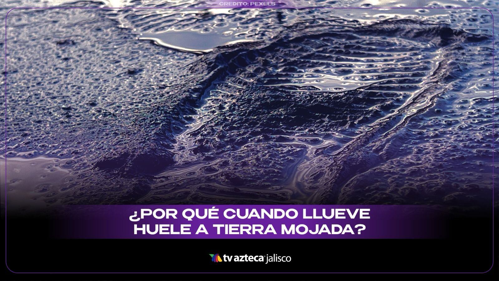 ¿Por qué huele a tierra mojada cuando llueve? 