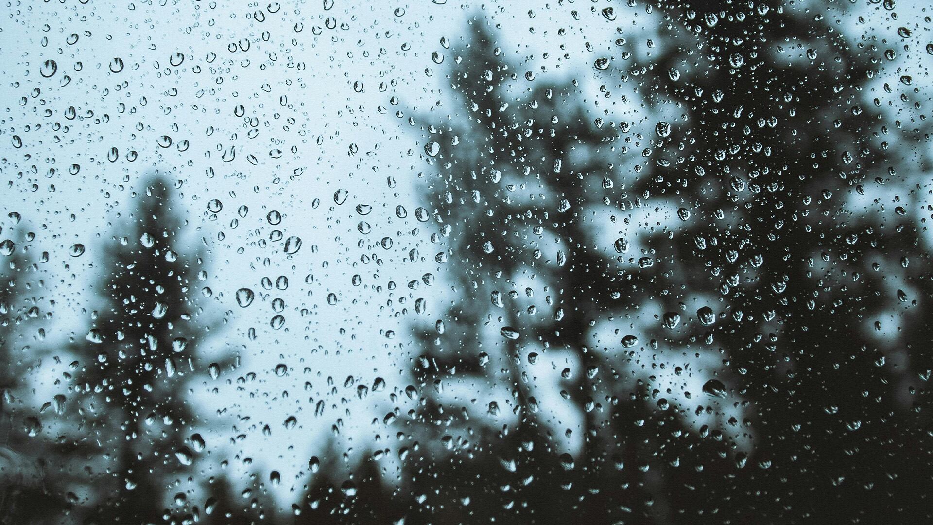 ¿Sábado de lluvias en Guadalajara? Este es el pronóstico del clima hoy 28 de junio