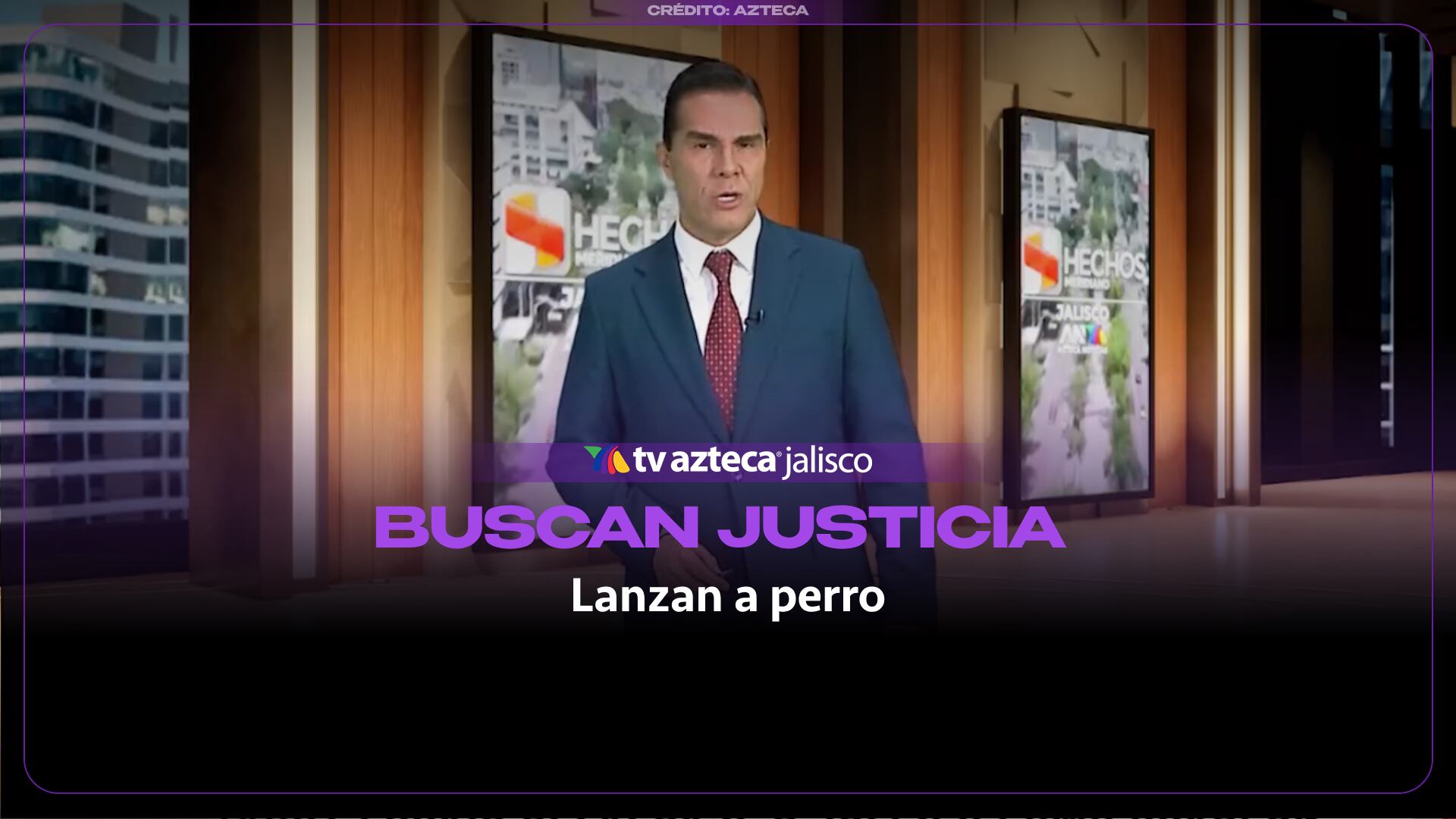 El caso de ‘Güero’: El perro arrojado en San Juan de Dios que lucha por su vida mientras la Fiscalía investiga