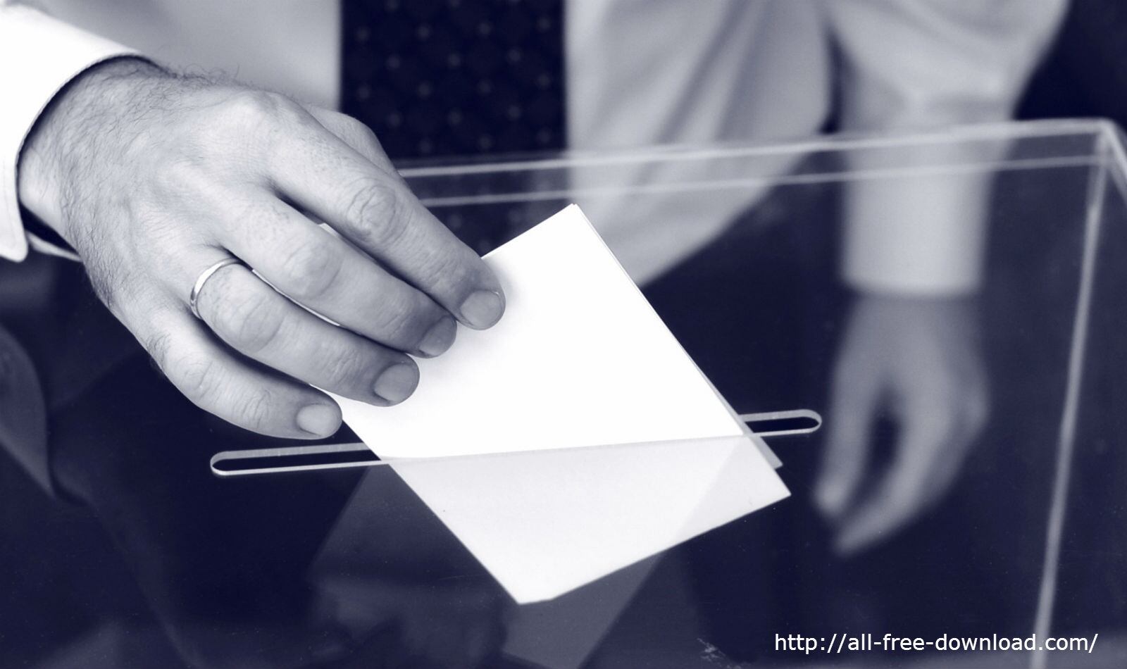 Votar