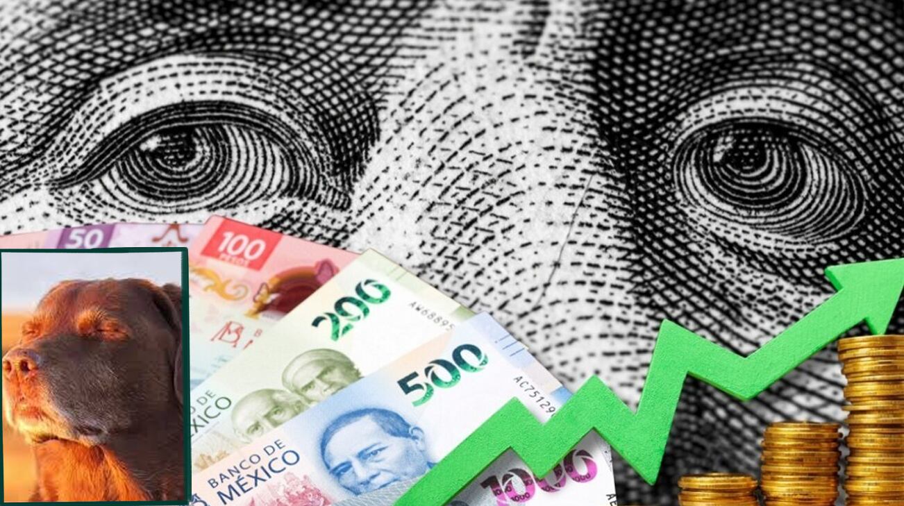 DÓLAR_cln1