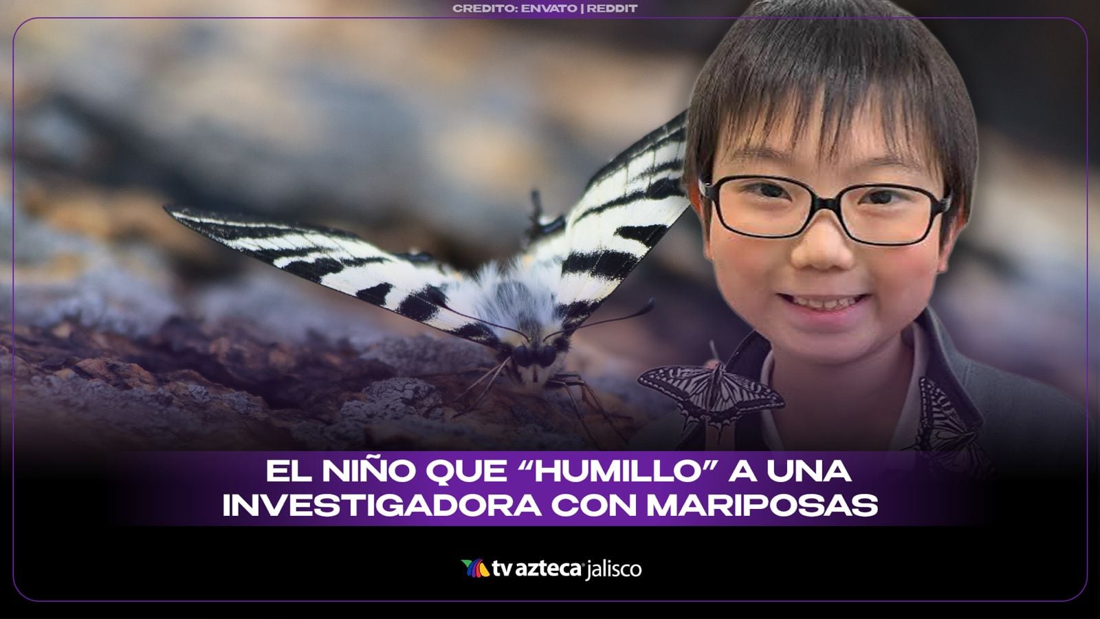 Un niño de 10 años demuestra que las mariposas conservan recuerdos de cuando eran orugas