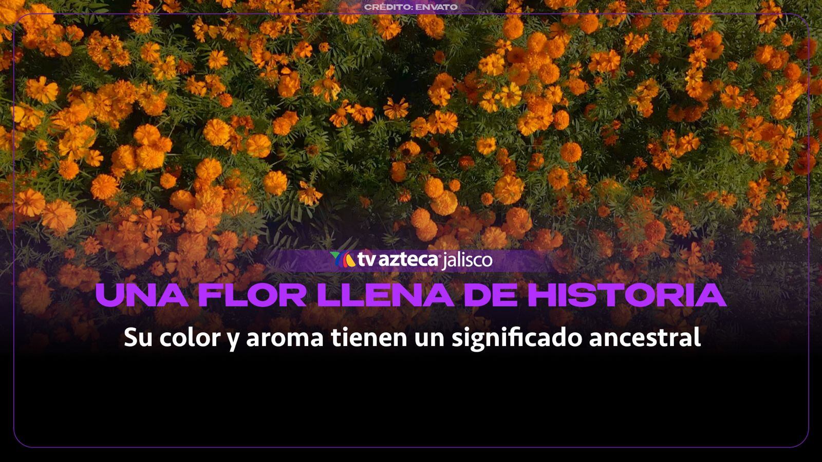 ¿Por qué se usa el cempasúchil en Día de Muertos?