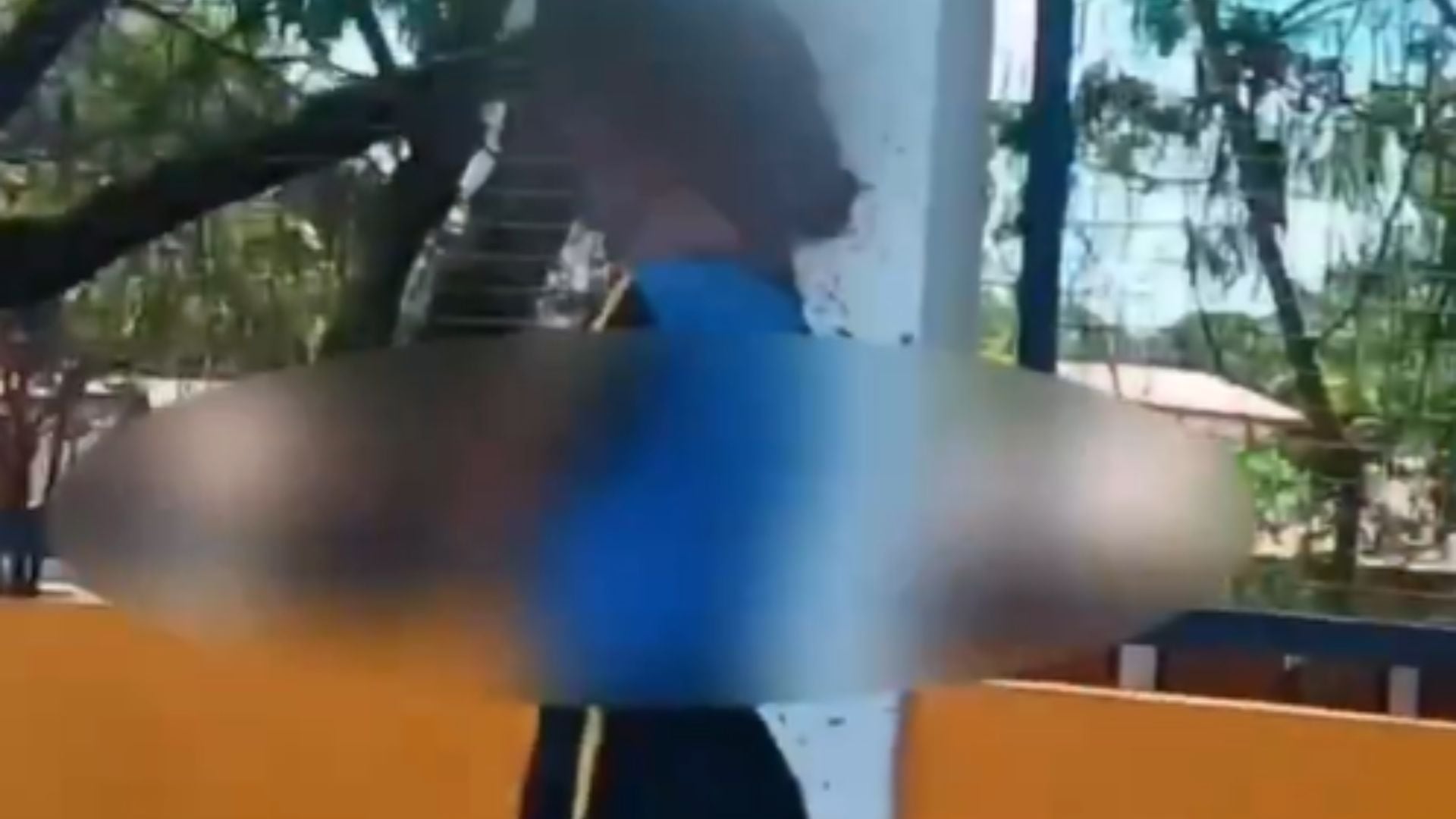 VIDEO: ¡Terror frente a la escuela! Enjambre de abejas ataca a estudiante y repartidor resulta herido al rescatarla