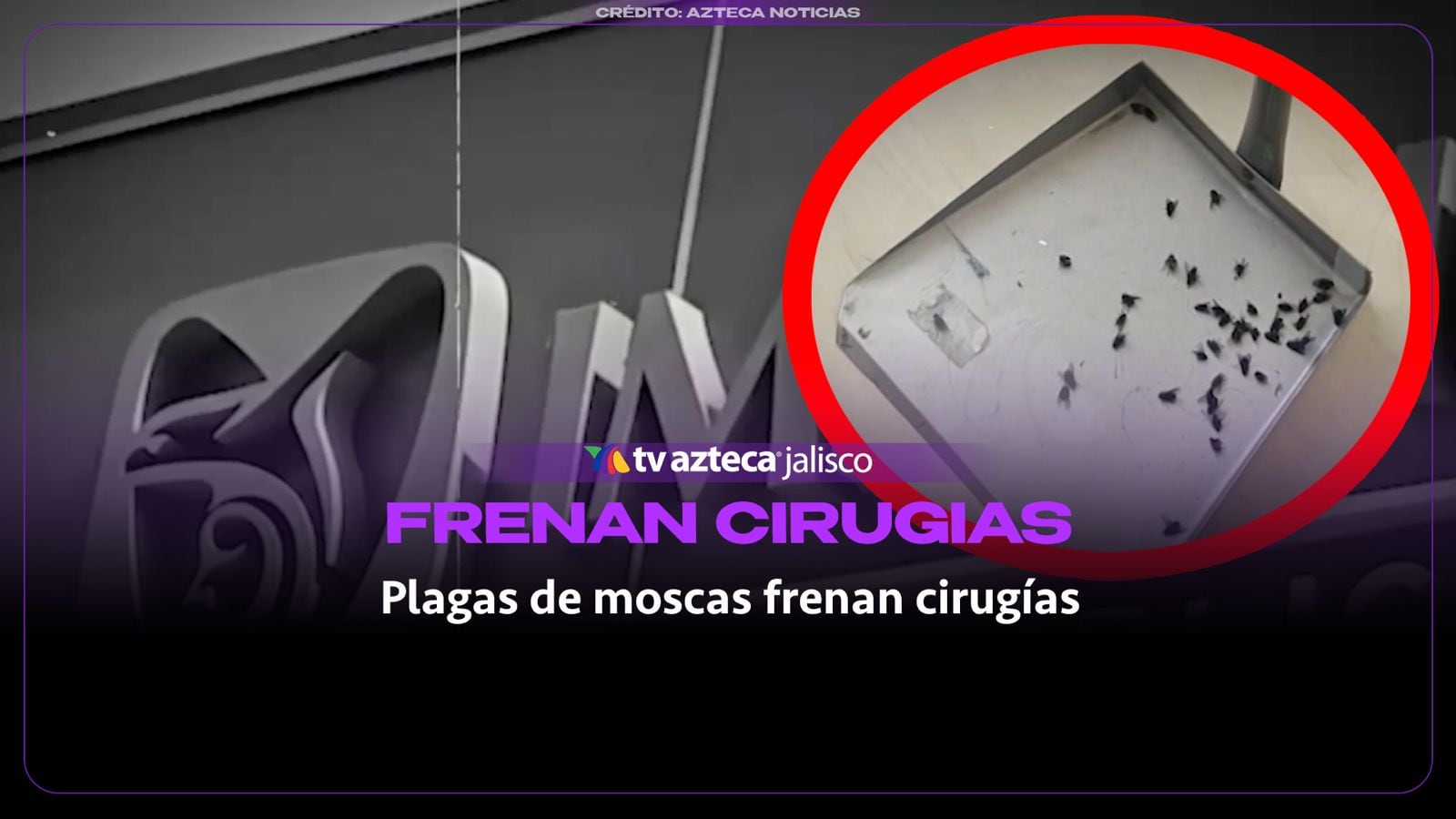 Moscas en quirófanos obligan a suspender cirugías en el Instituto Nacional de Neurología