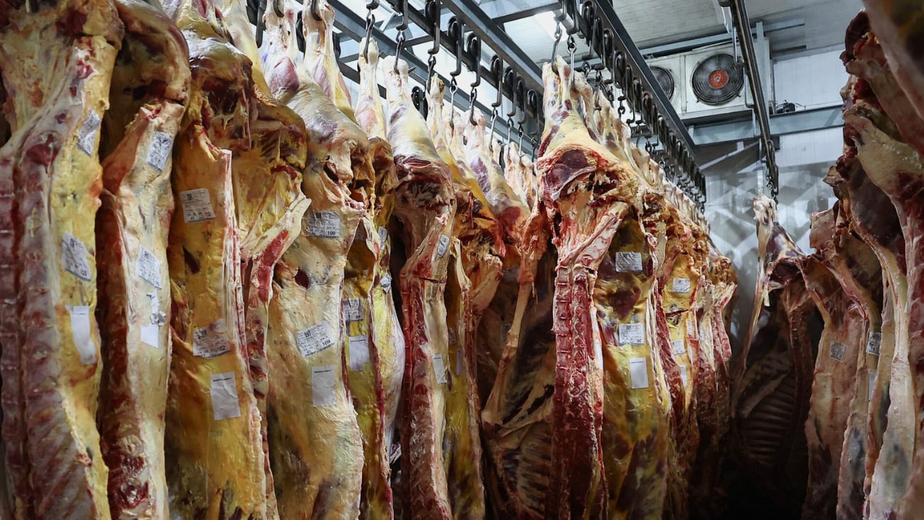 Depósito de carne.png