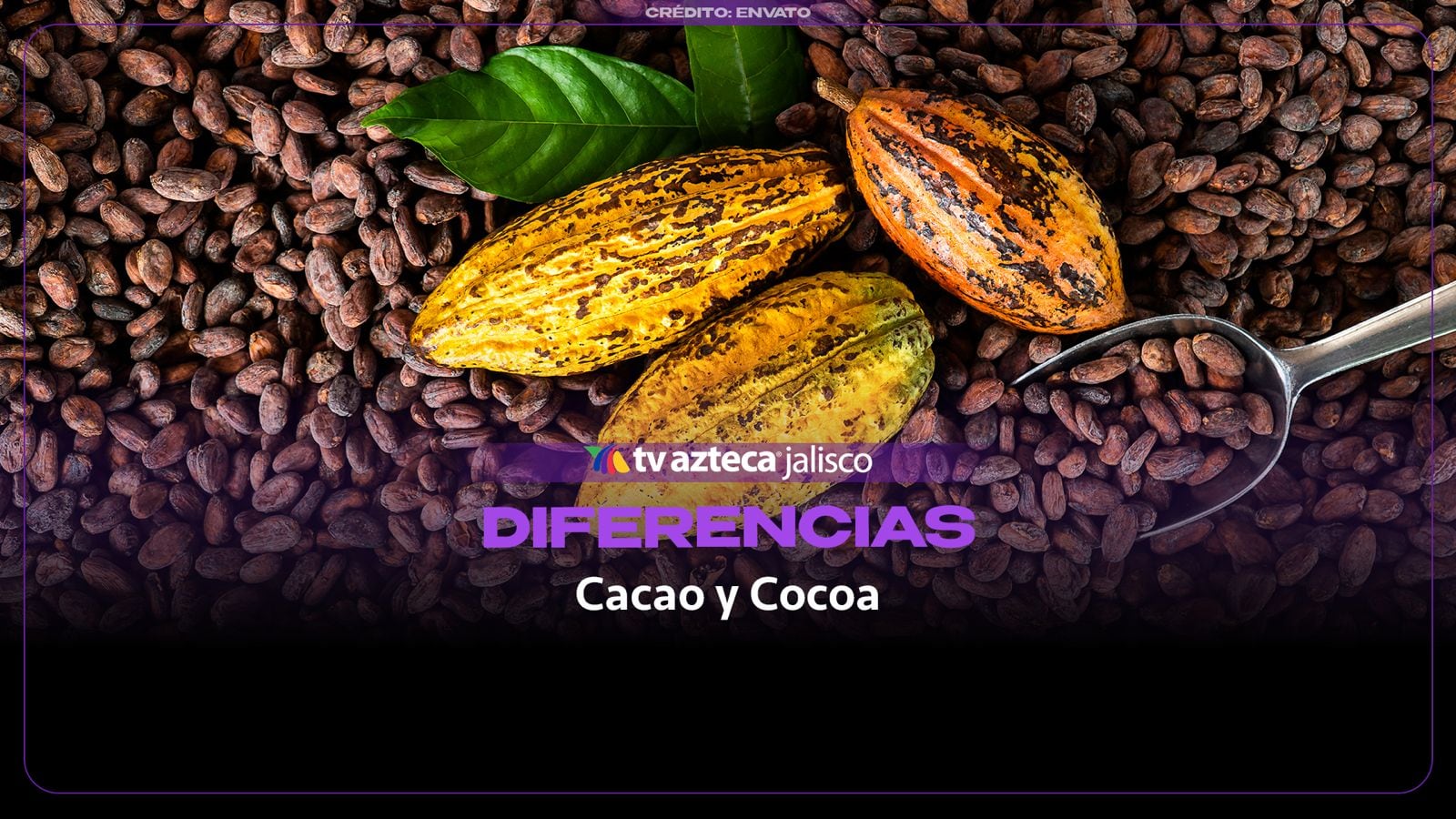 Qué diferencia hay entre el cacao y la cocoa